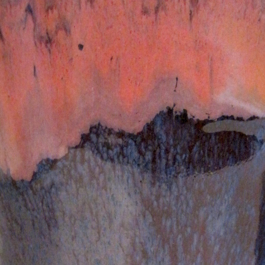 A close up of the side of a tree